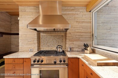 100 E Cooper Ave unit 6, Aspen, CO 81611 - photo 7
