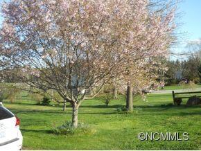 13 Apple Blossom Ln, Hendersonville, NC 28792 - photo 6