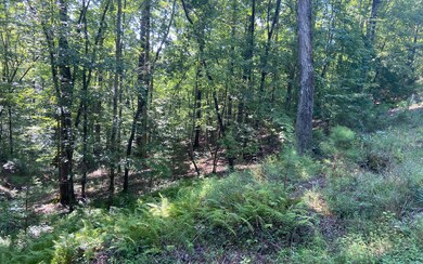 Additional View