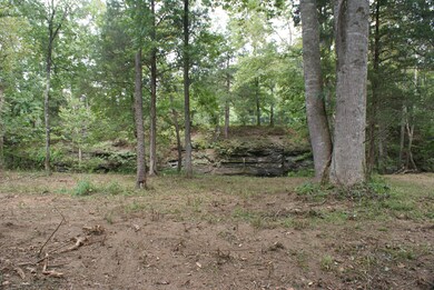 Creek Front Clearing