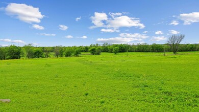 1042 Dominique Dr, Weatherford, TX 76087 - photo 4