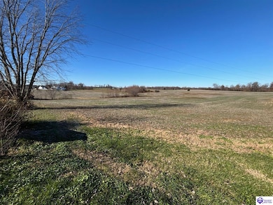 120 Owl Creek Dr, Vine Grove, KY 40175 - photo 6