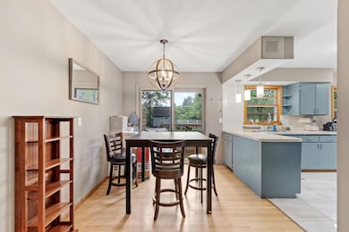 5505 Joyce St, Maple Plain, MN 55359 - photo 4