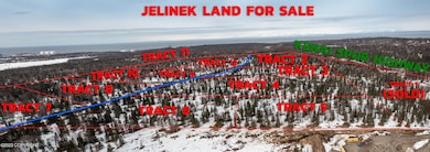 Tract 5 Aspen St, Kenai, AK 99611 - photo 2