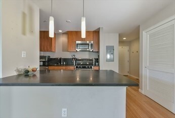 Audubon Park unit 610, Boston, MA 02215 - photo 4