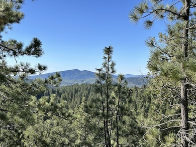 0 Mountain View unit 2011252, Idyllwild, CA - photo 5