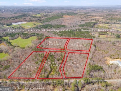 Tract5 Georgia 100, Buchanan, GA 30113 - photo 2