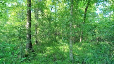 5509 Old Dawson Rd, Albany, GA 31721 - photo 5