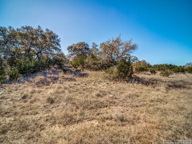 10411 Doherty Springs, San Antonio, TX 78255 - photo 7