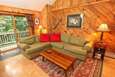 10D Brumms Way unit 10D, Dover, VT 05356 - photo 2