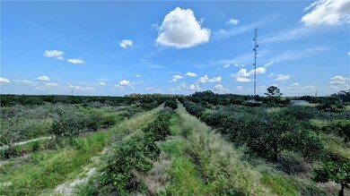 700 Sheriffs Tower Rd, Sebring, FL 33870 - photo 6