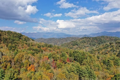 Vl63 Mtn Forest Estates, Sylva, NC 28779 - photo 3