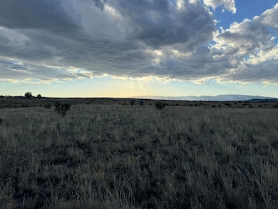 15 Dusty Ln, Edgewood, NM 87015 - photo 5