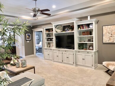 living room built ins
