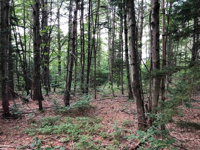 0 Deer Hill Rd unit 4 & 9 4924588, Whitingham, VT 05361 - photo 7