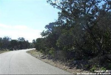 17203 Clovis, Helotes, TX 78023 - photo 3