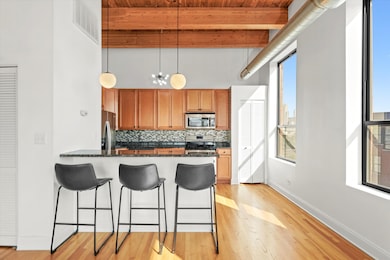 1610 S Halsted St unit 504, Chicago, IL 60608 - photo 3