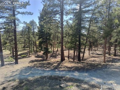 View of mitigated lot