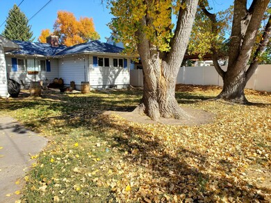 back yard