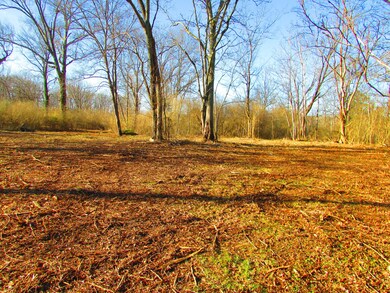 0 Mapleash Ave unit RTC2226655, Columbia, TN 38401 - photo 6