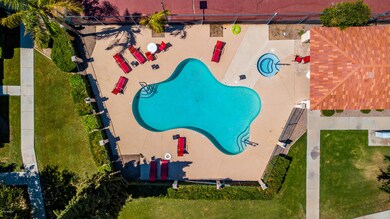DJI_0006 copy