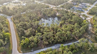 12319 Catridge Cir, Punta Gorda, FL 33955 - photo 6