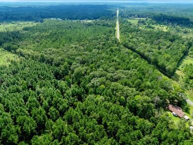 0 Tbd Savage Forks Rd, Leesville, LA 71446 - photo 4