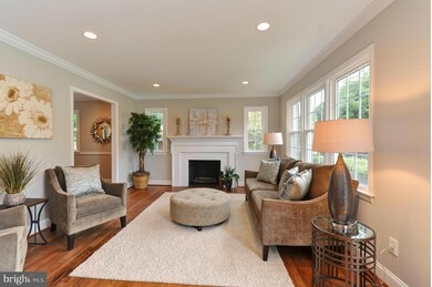 8510 Doyle Dr, Alexandria, VA 22308 - photo 3