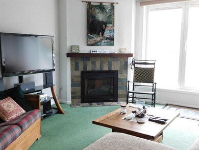 14 Emerson Way unit D-3, Waterville Valley, NH 03215 - photo 6