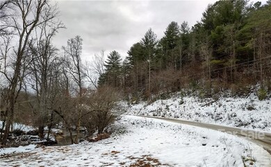 lot 17 Merrell Rd unit 17, Leicester, NC 28748 - photo 5