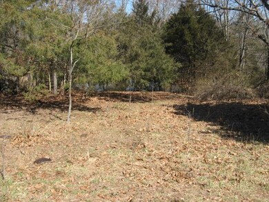 0 State Highway 248 unit 11211405, Jenkins, MO 65605 - photo 2