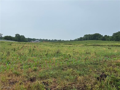 0 Dunker Rd, Baltic, OH 43804 - photo 5