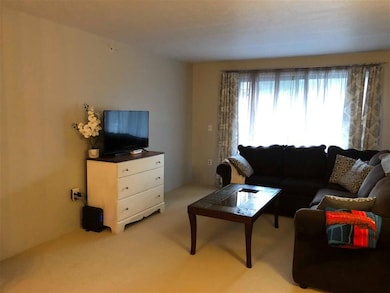 19 Saco St unit 14, Center Conway, NH 03813 - photo 2