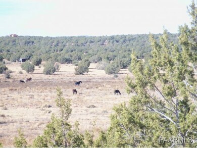 0 Ranch Rd unit 966505, Ash Fork, AZ 86320 - photo 4