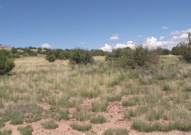 206e Bixler Trail, Ash Fork, AZ 86320 - photo 5