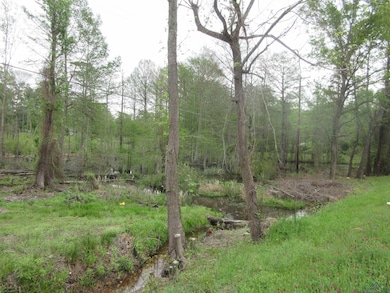 View of local wilderness featuring a forest view
