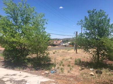 47009 N 4th St, Ash Fork, AZ 86320 - photo 2