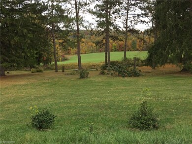 View of Back Yard!