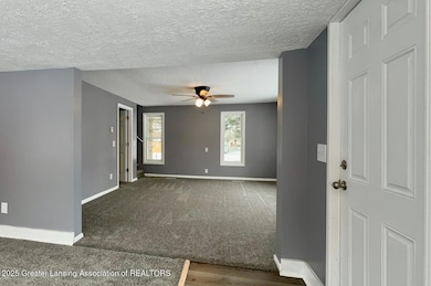 129 E Fulton St, Pompeii, MI 48874 - photo 3