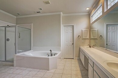 Master bathroom, jacuzzi, separate shower