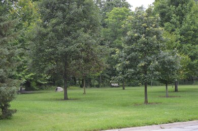 Park view from front yard