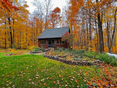 11428 Wilderness Trail, Vanderbilt, MI 49795 - photo 3