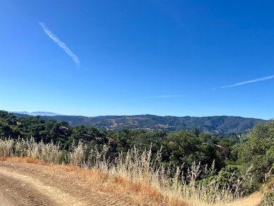 9007 Stewarts Point-Skaggs Springs Rd, Healdsburg, CA 95448 - photo 7