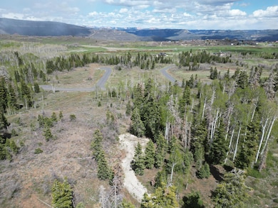 248 N Spring Dr, Kolob, UT 84767 - photo 7