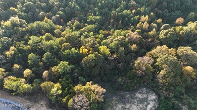 3 Tyro Branch Cove, Senatobia, MS 38668 - photo 6