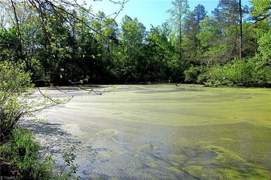 5125 Randleman Rd, Greensboro, NC 27406 - photo 6