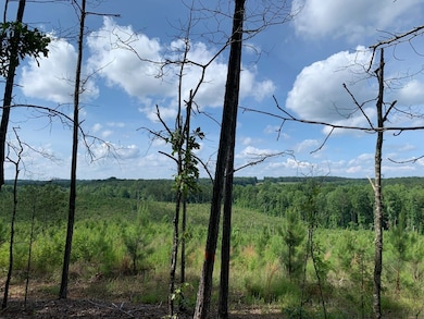 45+/- Ac Noles Rd, Franklin, GA 30217 - photo 3