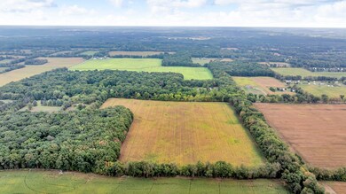 Grover Rd (Vacant Land) Hanover MI (Aeri