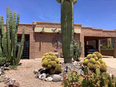 Lots of Cactus