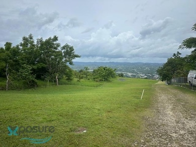 091025 Sr 119 Km 28 7 Int Bo Hoyamala Sector Lechuza, San Sebastián, PR 00685 - photo 6
